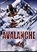 Image 0 of Avalanche Nature Unleashed [DVD] Buried Alive
