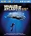 Image 0 of Jules Verne Whales of Atlantis in Search of Moby Dick(Two -Disc Blu Ray/Dvd Comb