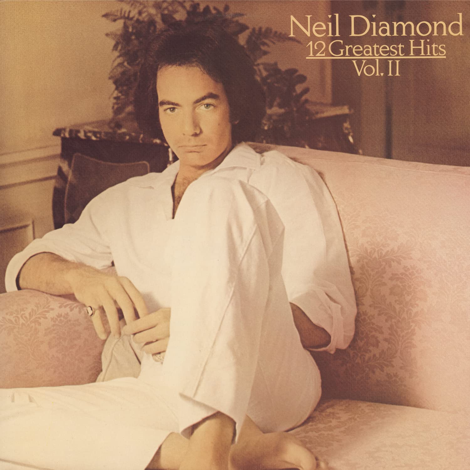 Image 0 of 12 Greatest Hits, Vol. 2