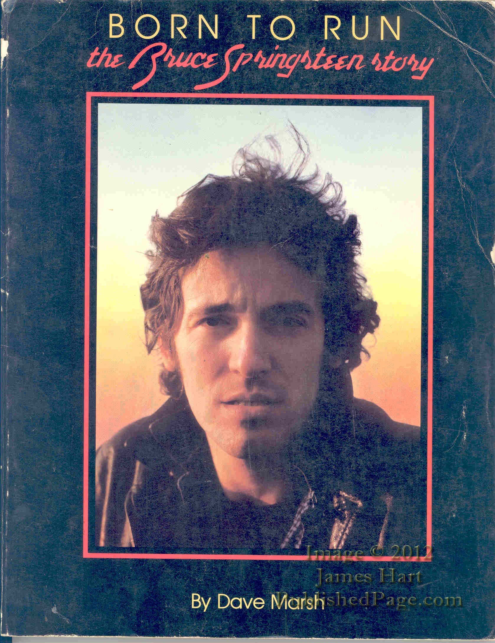 Image 0 of Born to Run: The Bruce Springsteen Story