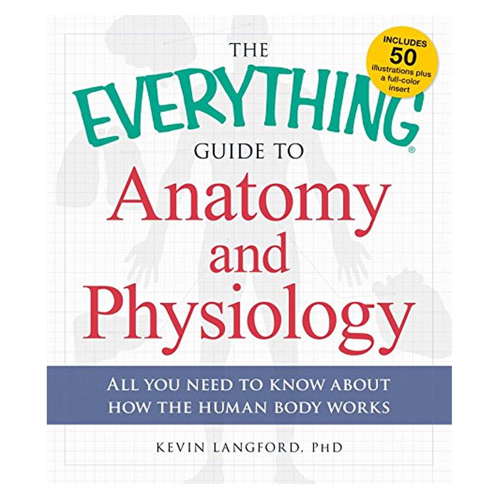 Image 0 of The Everything Guide to Anatomy and Physiology: All You Need to Know about How t