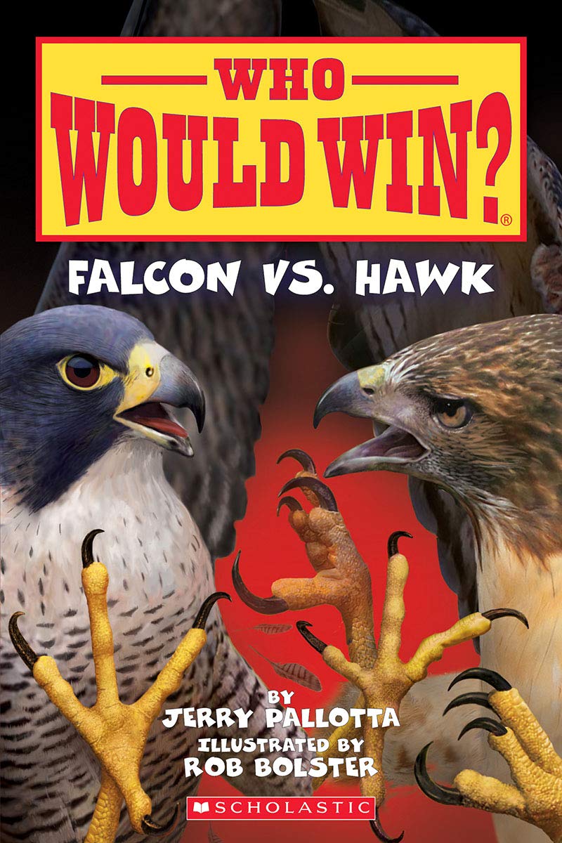 Image 0 of Falcon vs. Hawk (Who Would Win?) (23)