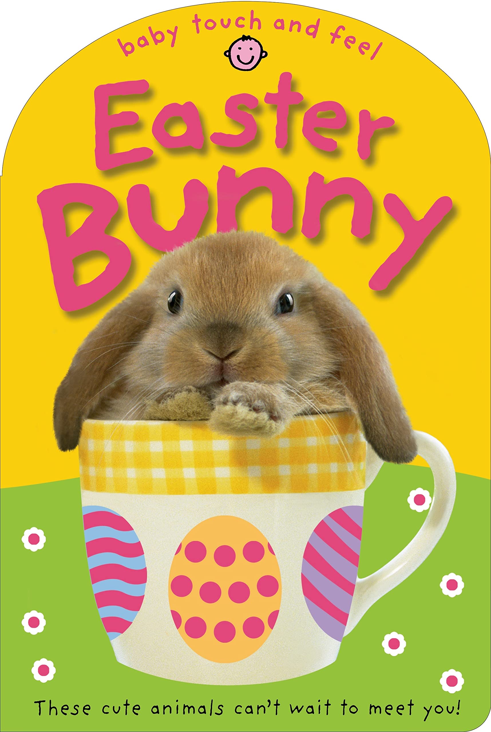 Image 0 of Easter Bunny (Baby Touch and Feel)