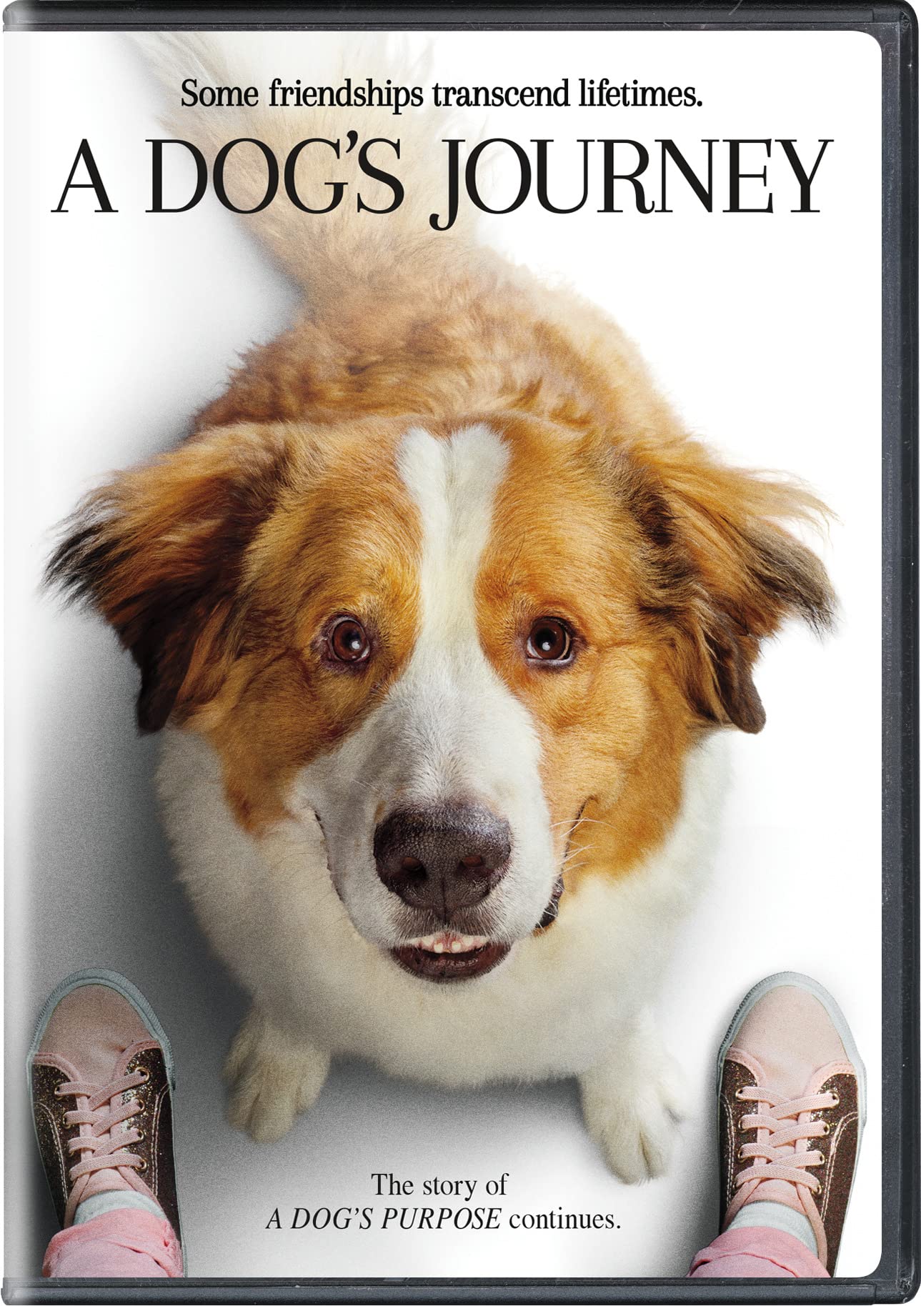 Image 0 of A Dog's Journey [DVD]