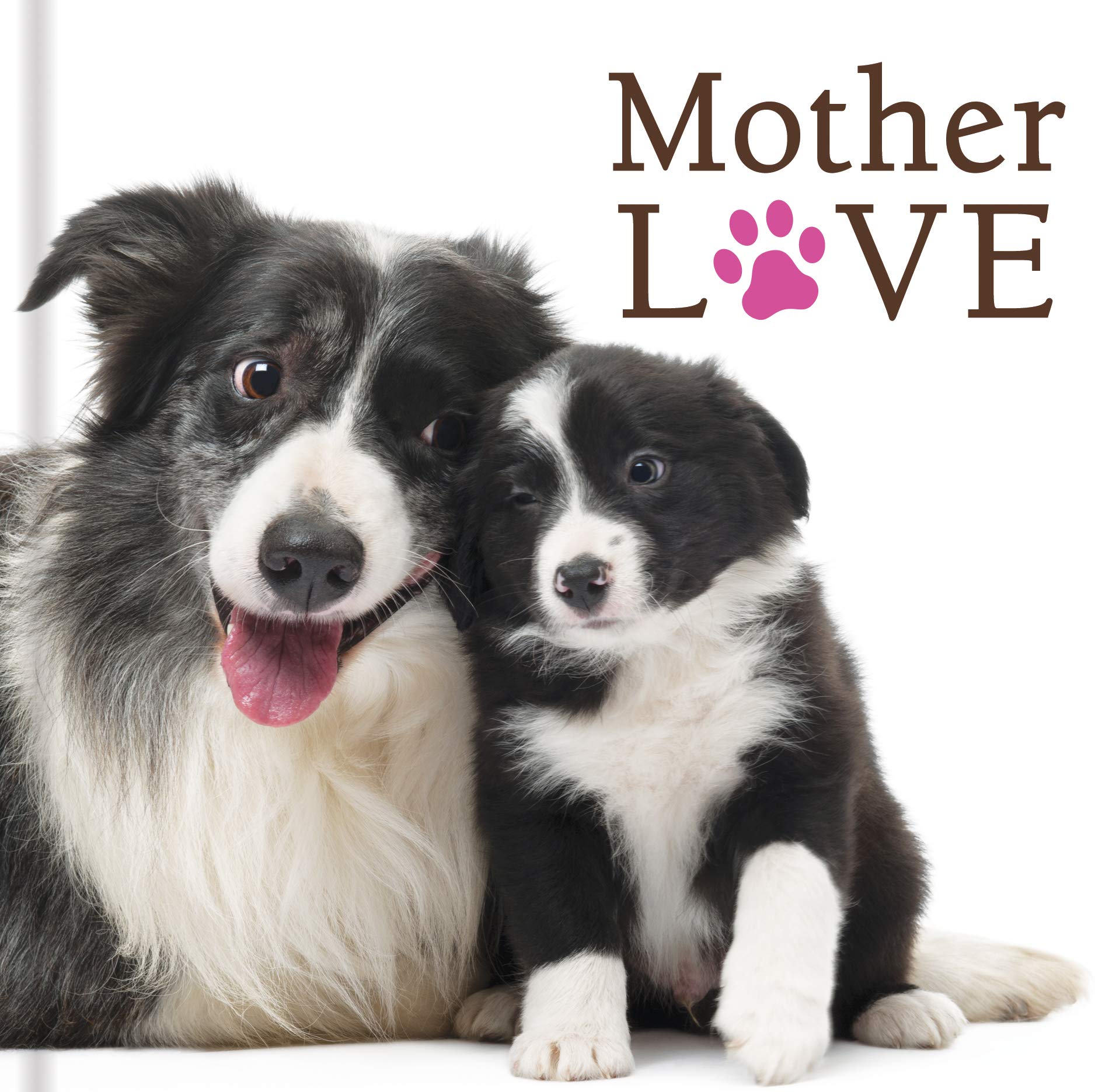 Image 0 of Mother Love (Dogs)