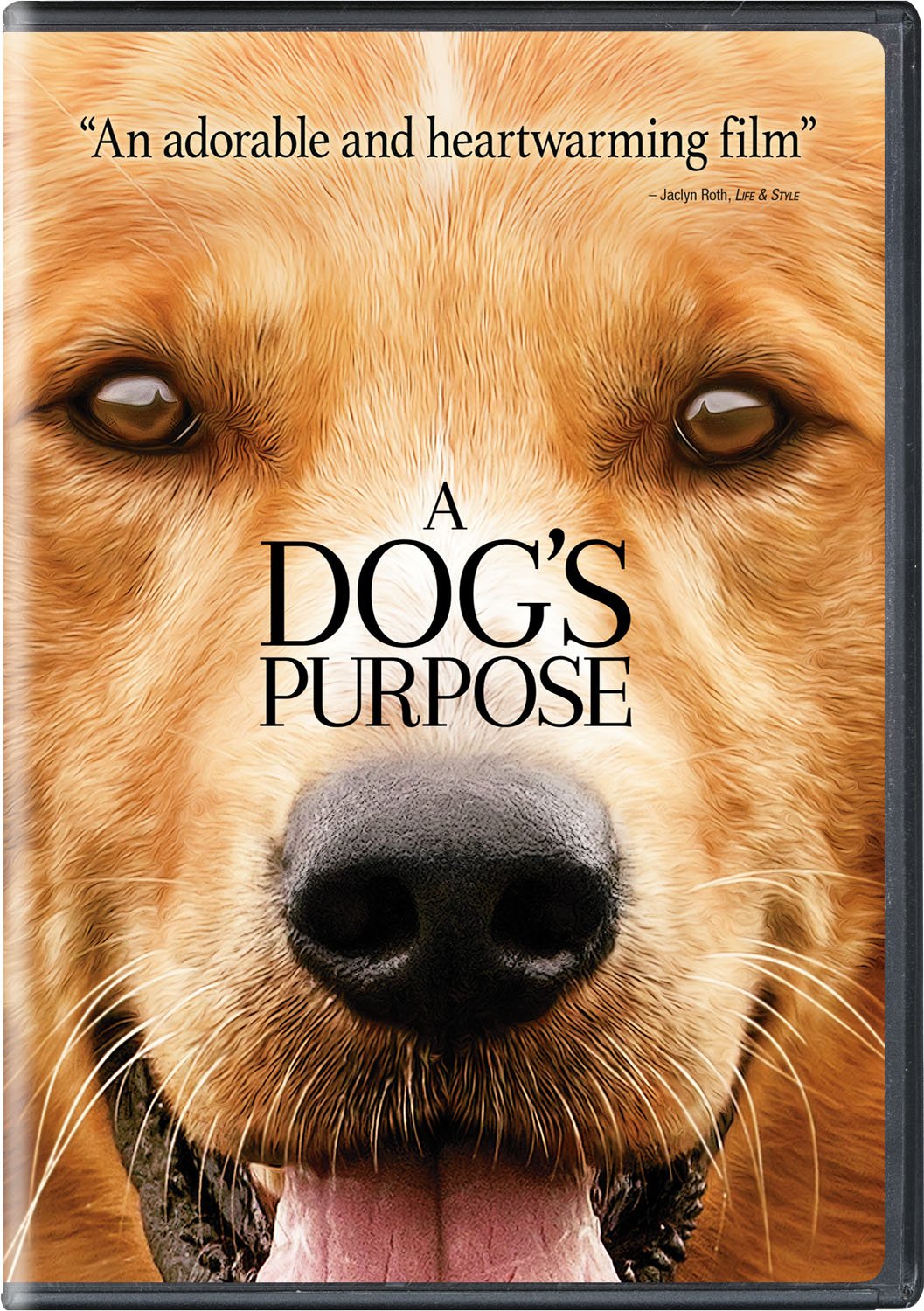 Image 0 of A Dog's Purpose [DVD]