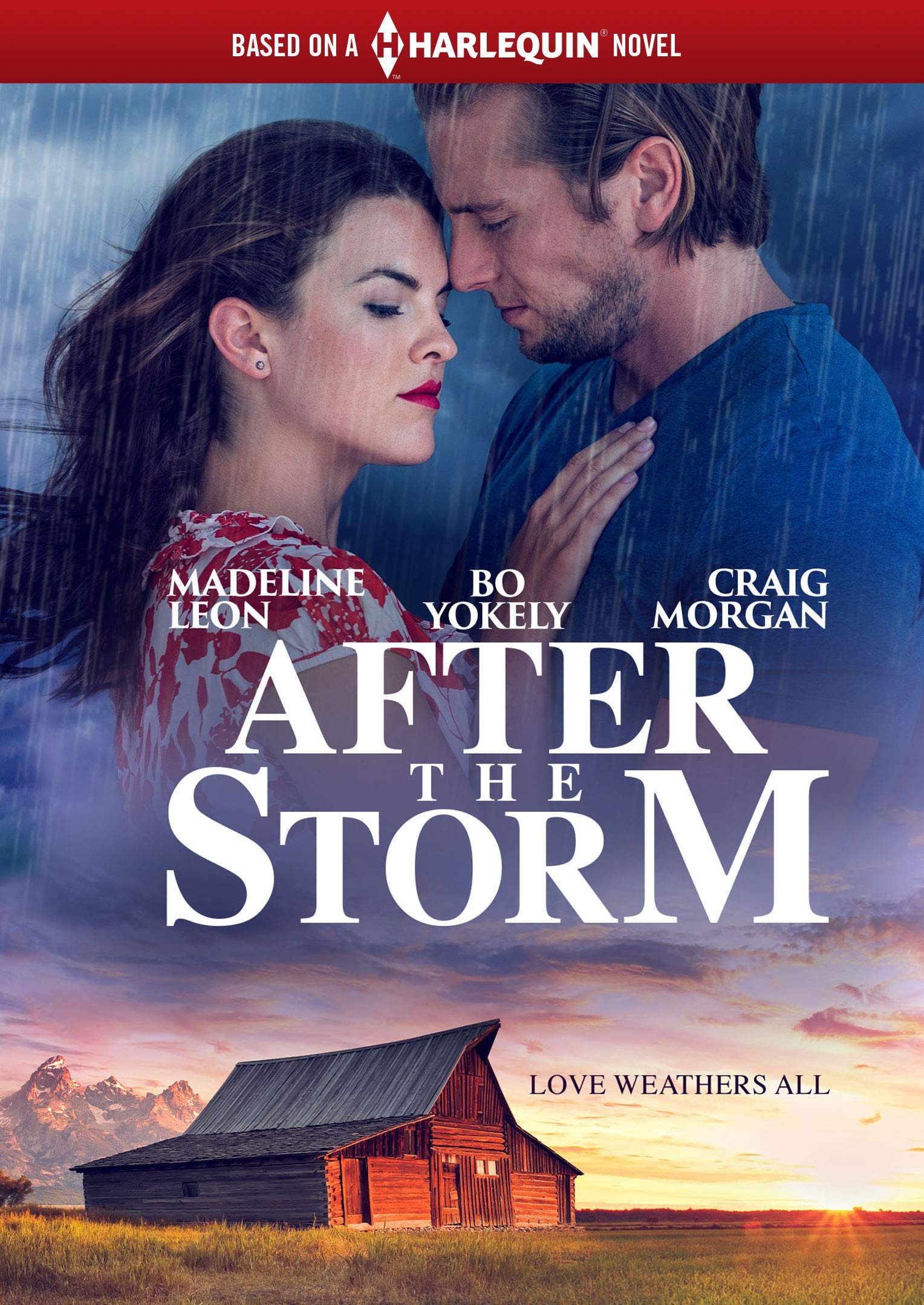 Image 0 of AFTER THE STORM