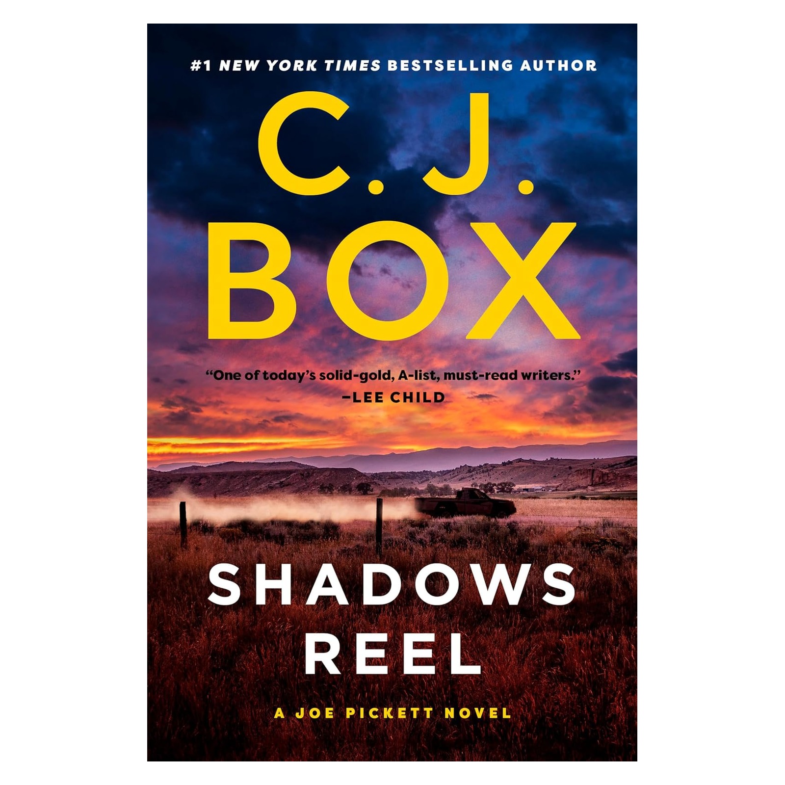 Image 0 of Shadows Reel (A Joe Pickett Novel)