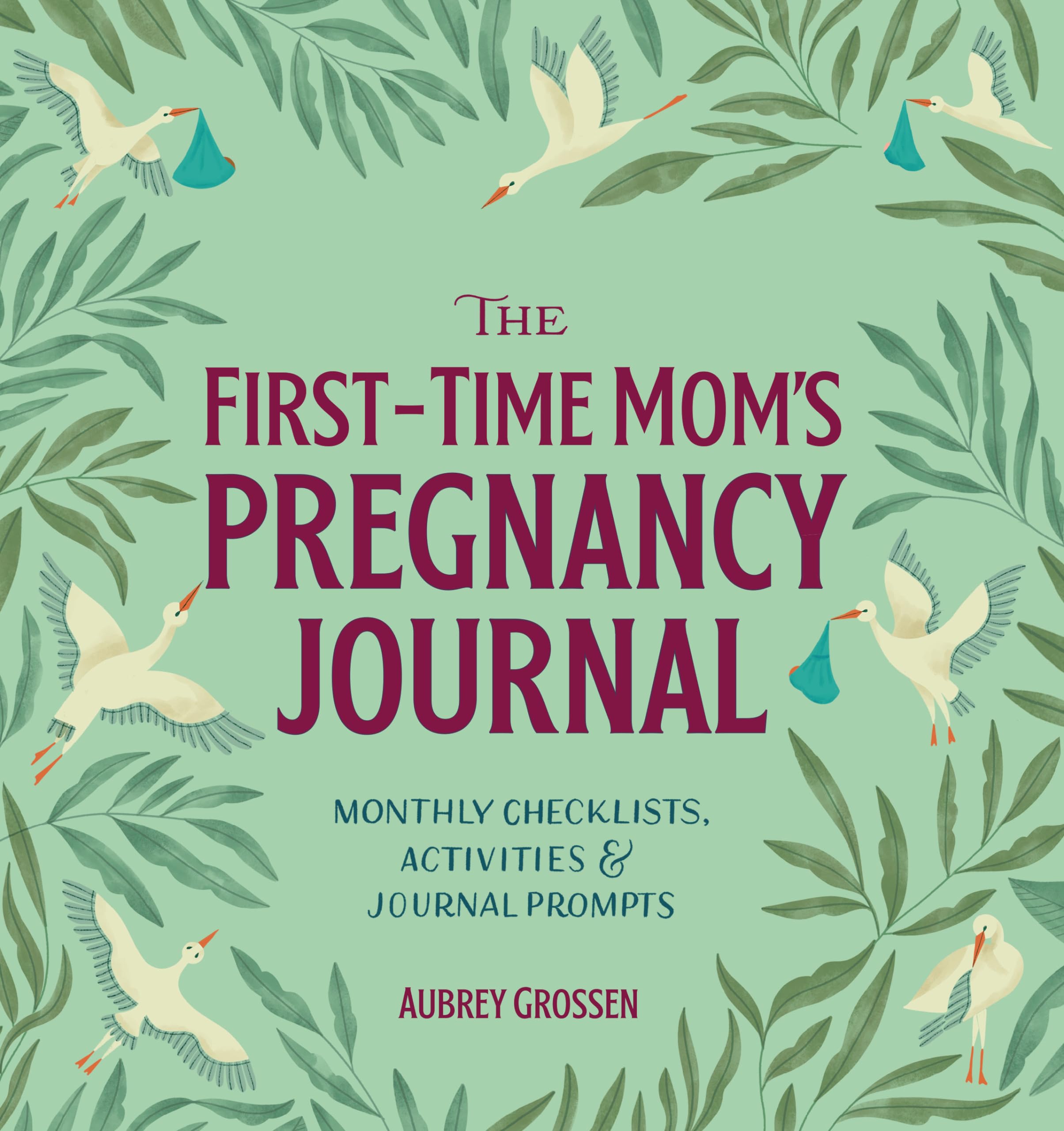 Image 0 of The First-Time Mom's Pregnancy Journal: Monthly Checklists, Activities, & Journa