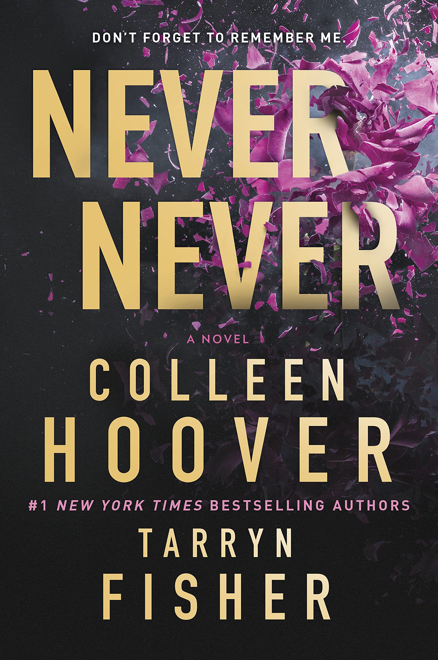 Image 0 of Never Never: A Romantic Suspense Novel of Love and Fate