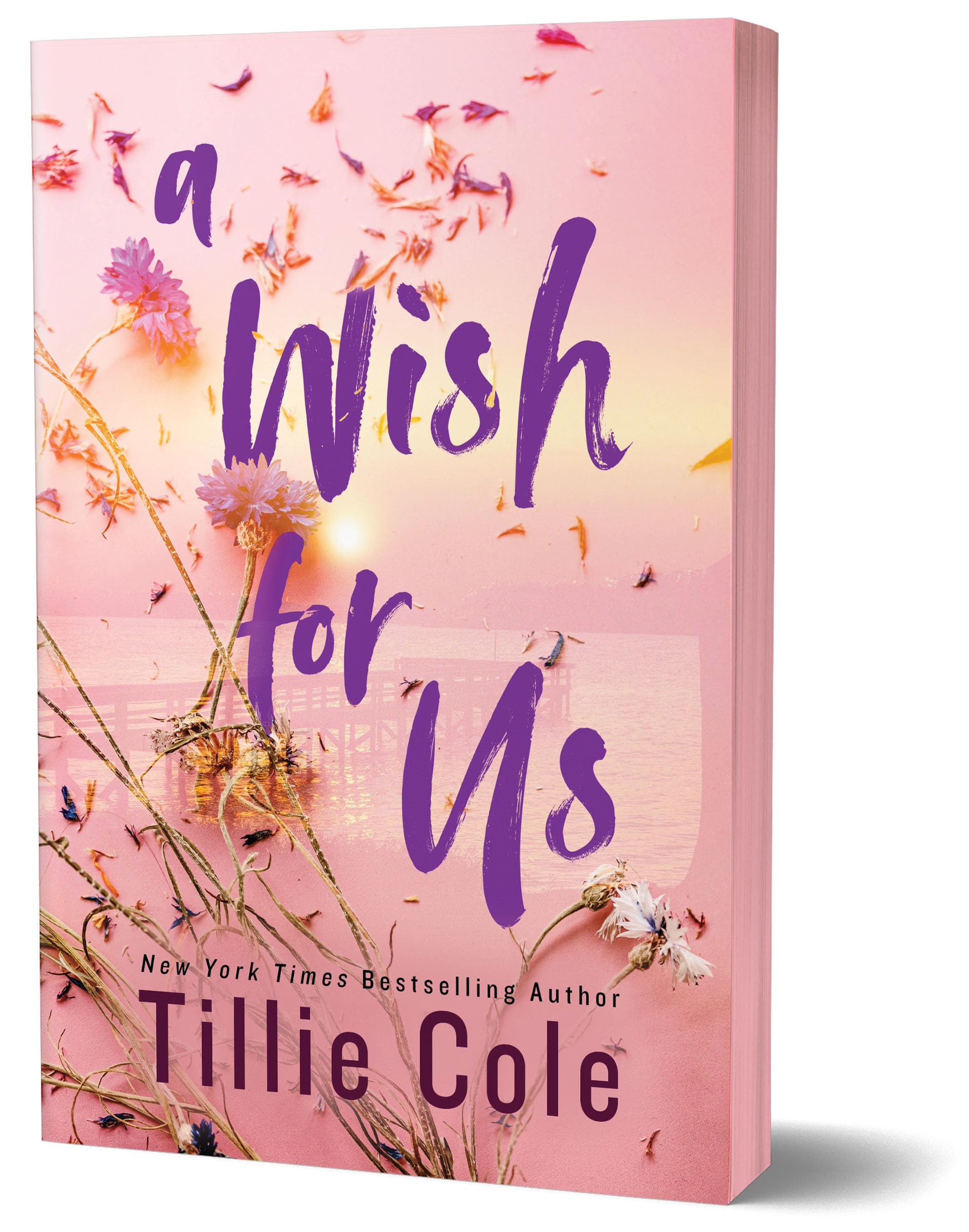 Image 0 of A Wish for Us (Deluxe Edition)
