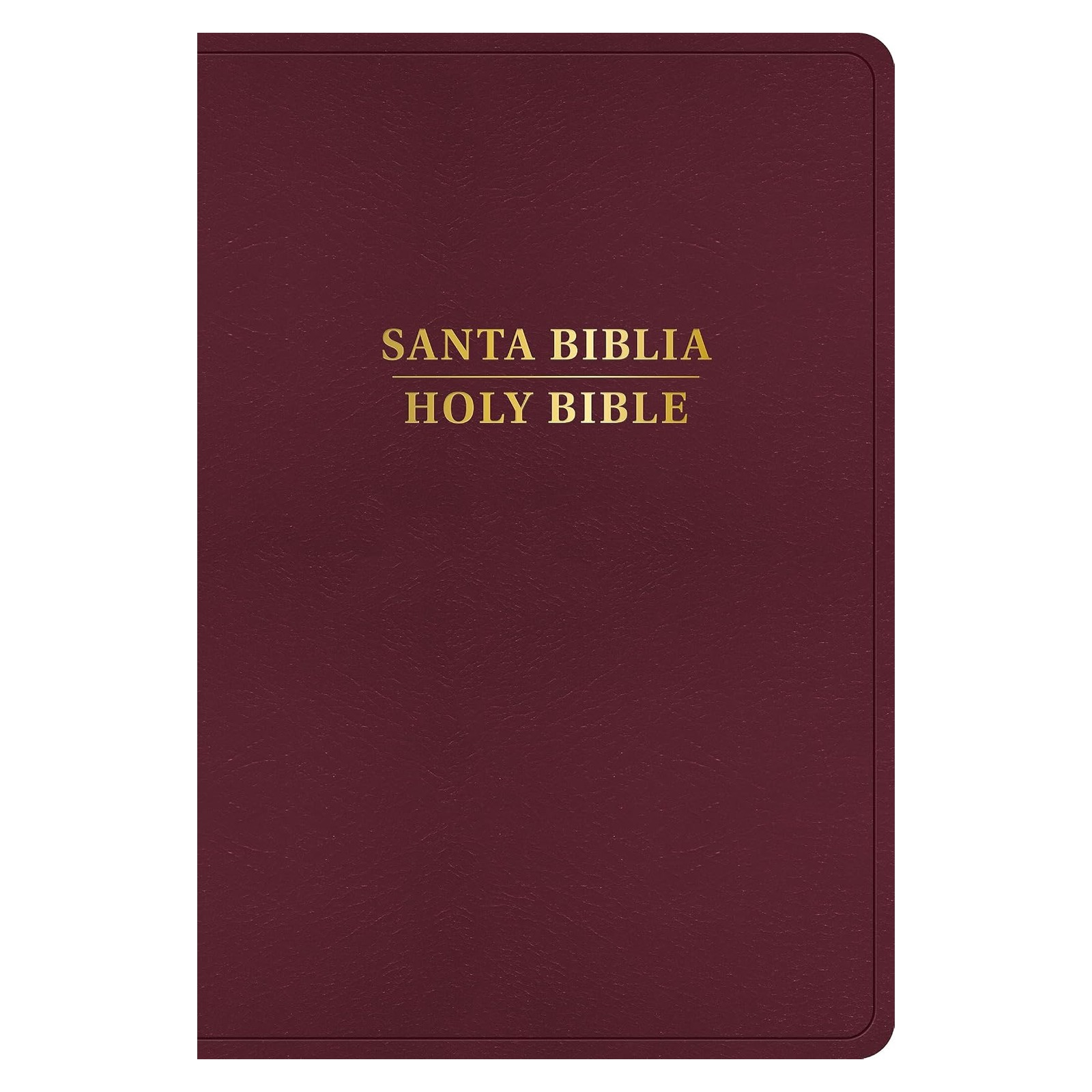 Image 0 of RVR 1960/KJV Biblia bilingüe letra grande, borgoña imitación piel, con índic