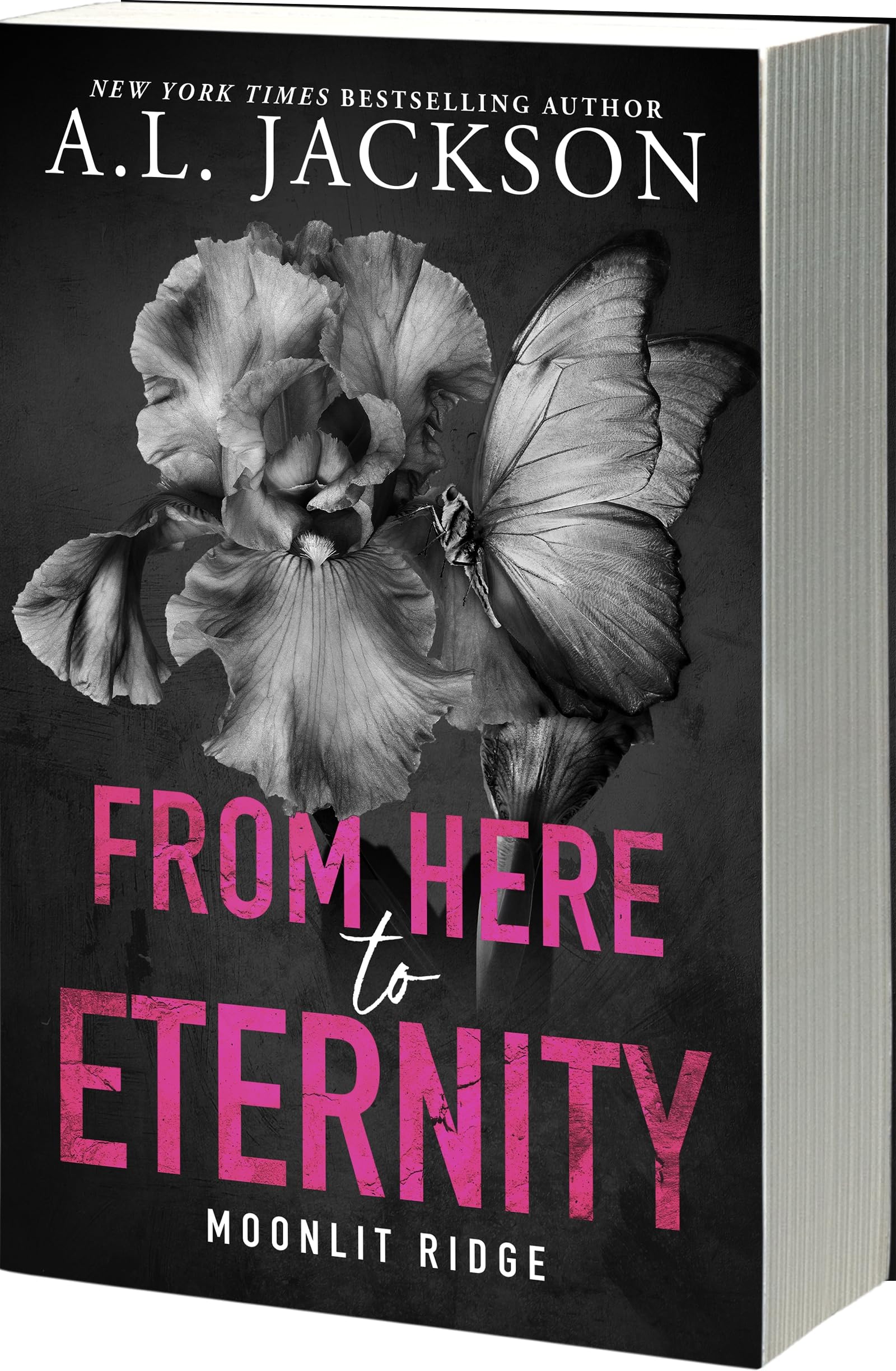 Image 0 of From Here to Eternity (Moonlit Ridge, 1)