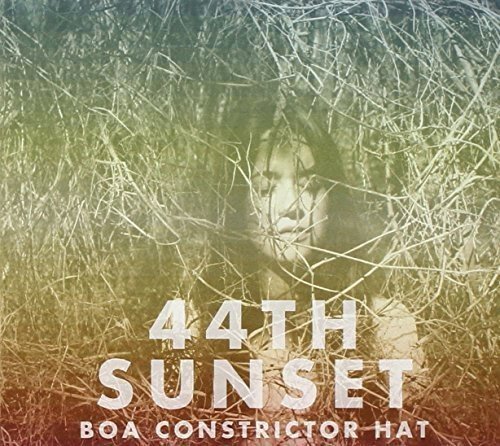 Image 0 of Boa Constrictor Hat