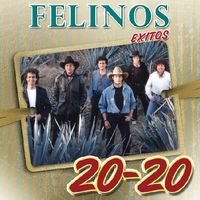 Image 0 of 20-20 Exitos