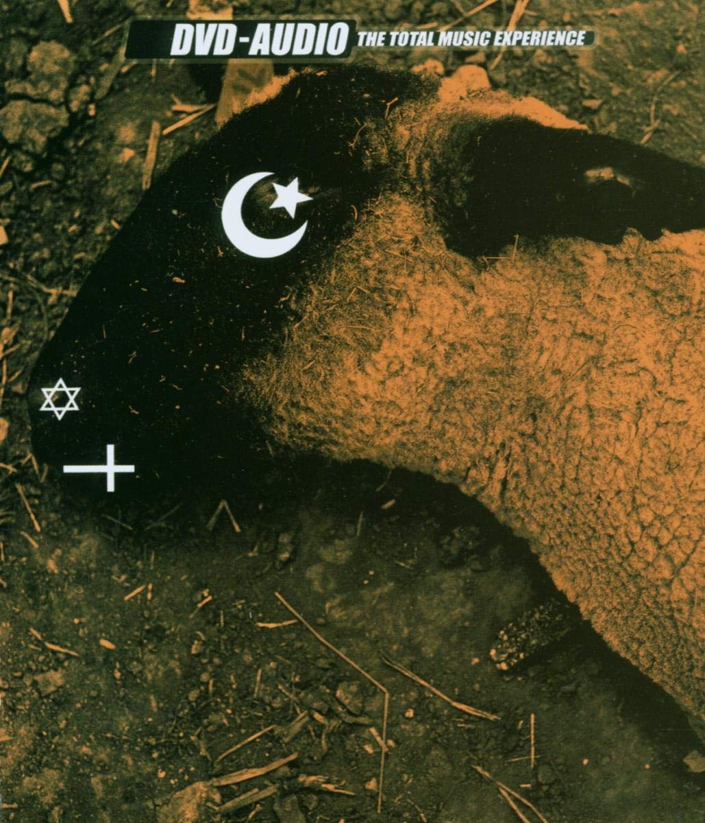 Animositisomina
